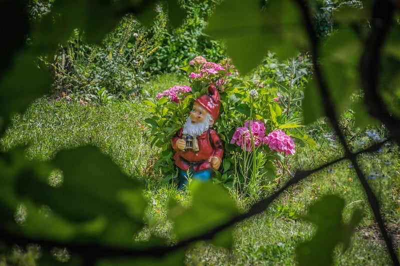 Enchanted Forest Fairy